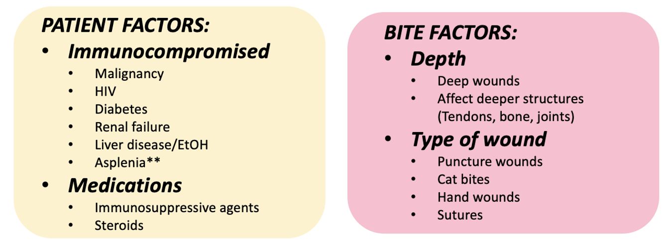 Bite Club: Comprehensive Guide to Bite Management (Part 1) - EMOttawa Blog