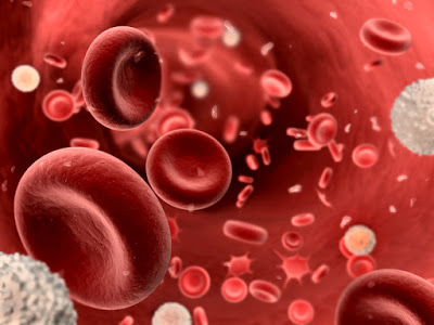 Platelets: who needs them?