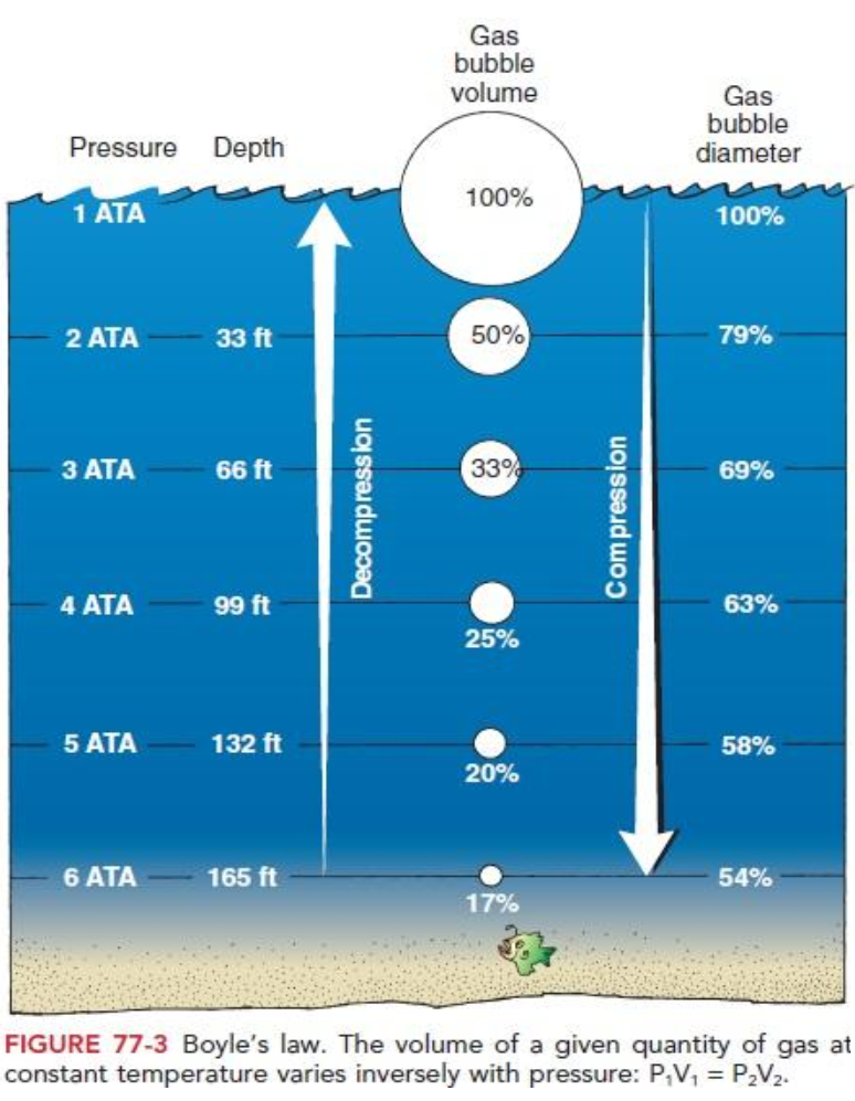 Fun with Bubbles Dysbarism and Hyperbaric Oxygen Therapy EMOttawa Blog