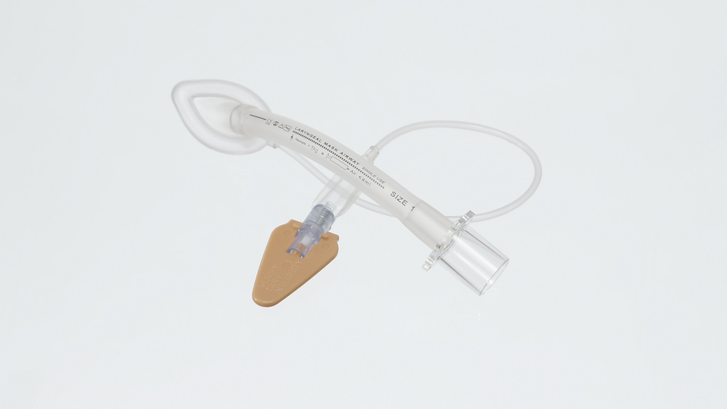 Effect of a Strategy of Initial Laryngeal Tube Insertion vs Endotracheal Intubation on 72-Hour Survival in Adults With Out-of-Hospital Cardiac Arrest: A Randomized Clinical Trial