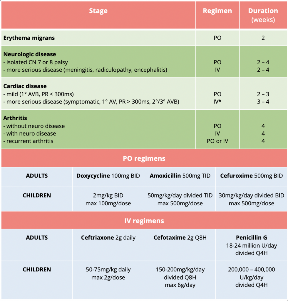 VectorBorne Illness Lyme disease and Malaria EMOttawa Blog