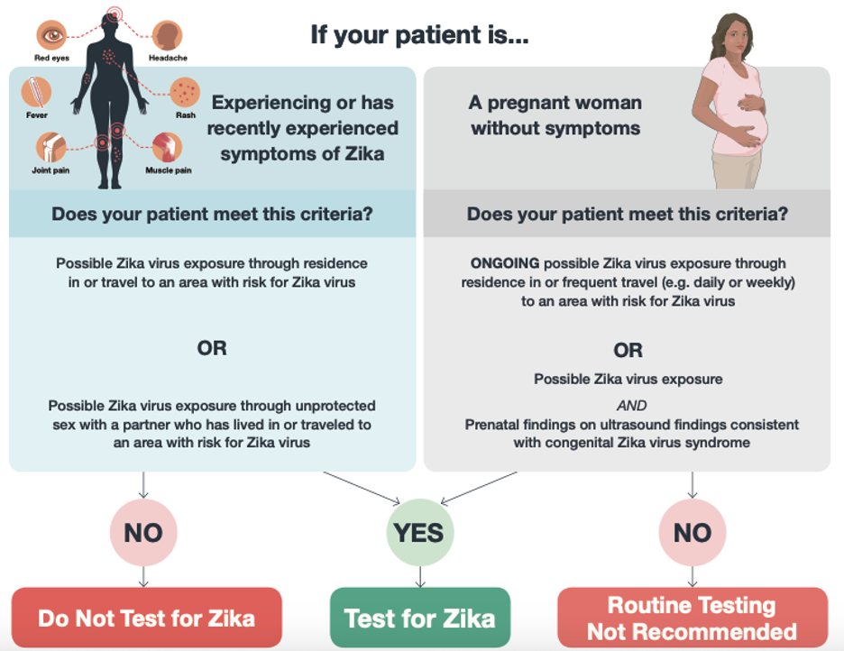 Vector-Borne Illness P2: the Chikun or Zika? - EMOttawa