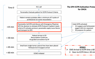 Implementation of an ED ECMO Program