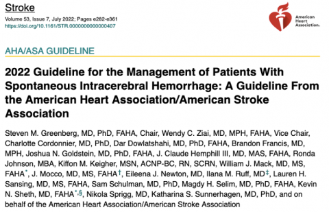 Spontaneous Intracerebral Hemorrhage - Strokeguideline 480x309 