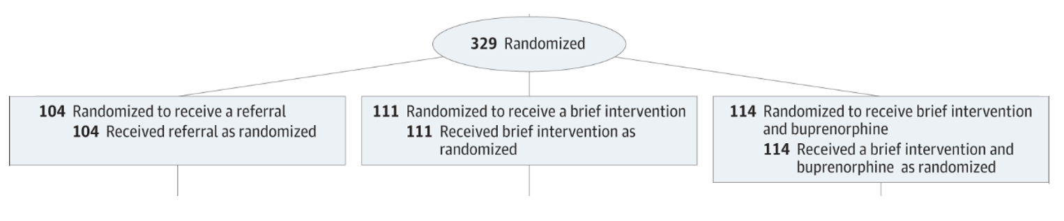 Descriptive image of randomization for: referral for substance use disorder, brief intervention, and buprenorphine + intervention groups. 