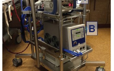Early Extracorporeal CPR for Refractory Out-of-Hospital Cardiac Arrest