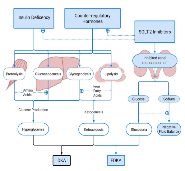 Euglycemic DKA