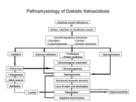 Insulin on the Run: DKA Management Update - EMOttawa Blog