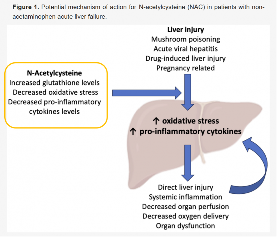 Acute Liver Failure