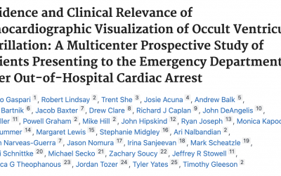 Should we shock PEA/asystole? : A multicenter prospective study on Echo Visualization of Occult Ventricular Fibrillation in Out-of-Hospital Cardiac Arrest